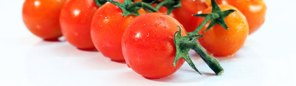 网络电话呼叫软件免费版